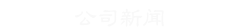 ˾
